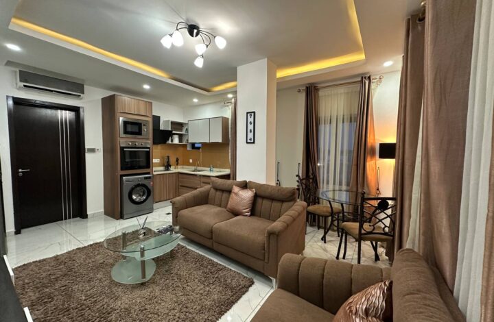 RONY – 1 Bedroom Pent House – 65sqm